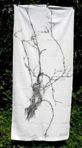 série de teinture sur toile libre à partir de sarments de vigne