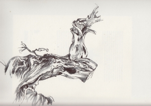 détail dans la forêt des Genévriers Thurifères de Saint Crépin 05