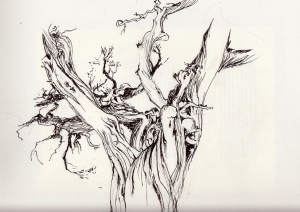 membrure lissée d'intempéries à Saint Crépin