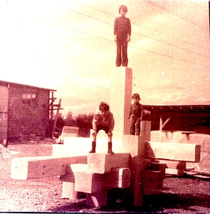 fontaine jeux en bois traité pour la cité des Bon enfants