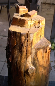 citadelle brute; tranché et ciré 80cm 2018