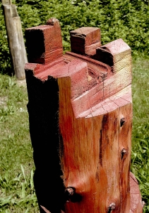 citadelle rouge tronc tranché venis couleur