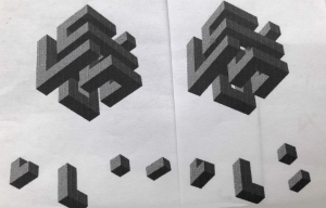 dessin réalisé pour la stéréoscopie