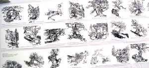 dépliant présentant l'ensemble des dessins faits la forêt des Genévriers thurifères à Saint Crépin