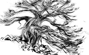 Genévrier thurifère interprété à la palette graphique