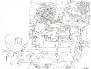 Bureau de Madame la conservatrice du musée muséum